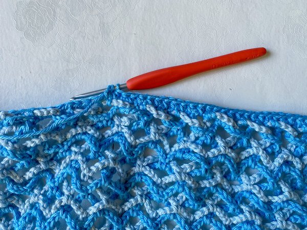Iris Crochet Lace Top 4 IMG 6806