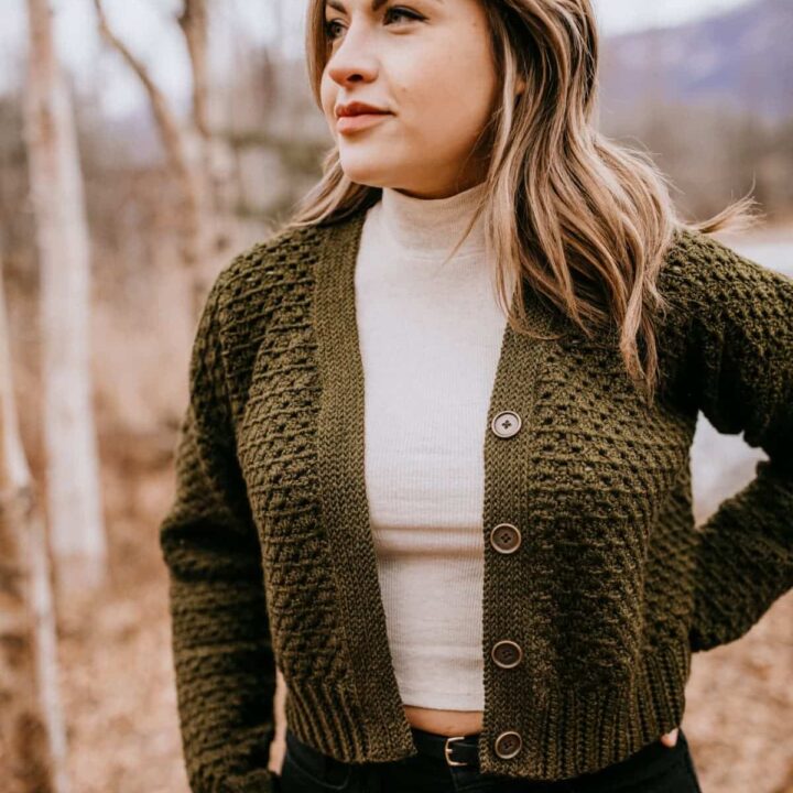 Image for Celsea Button Up Crochet Cardigan